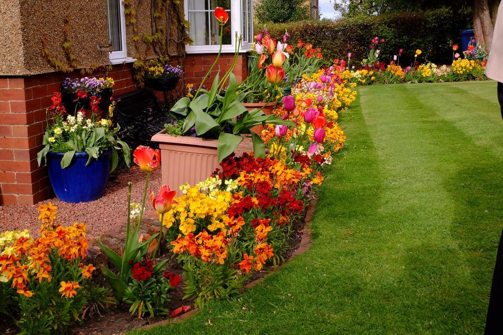 Reighamsyde House Bed & Breakfast Alnwick Exterior photo